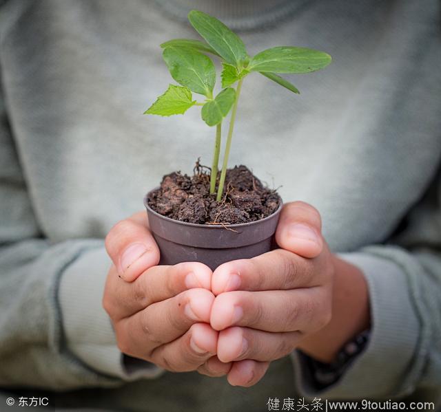 一个最简单的心理学效应：轻松让别人对你有求必应！