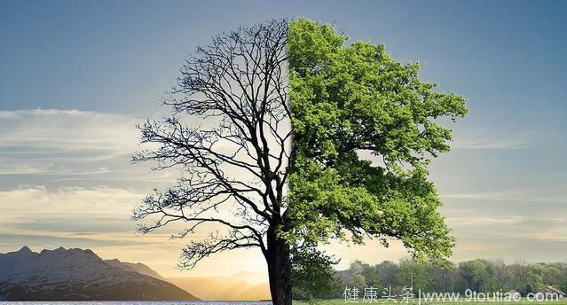 心理测试：哪一棵大树最长寿？测你能不能掌握自己的财富！
