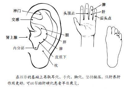 人体自带“养肝穴”，每天按一按，可调理肝炎，帮助肝硬化康复！