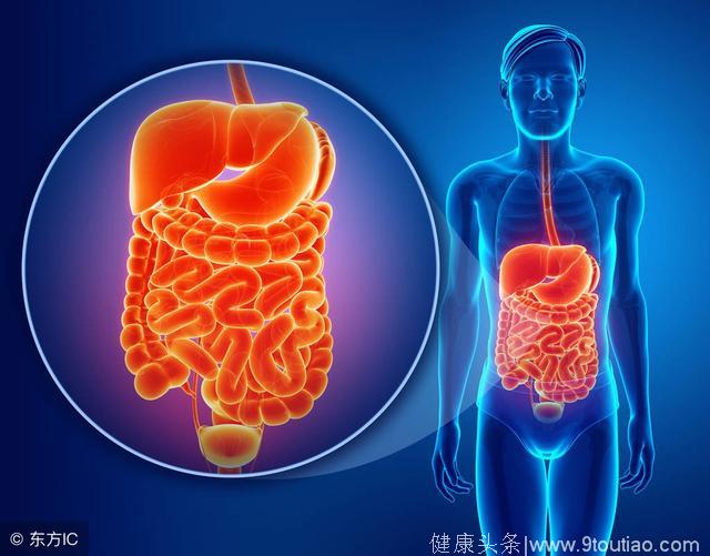 什么是胃肠型感冒？与平常感冒有区别，别混淆了