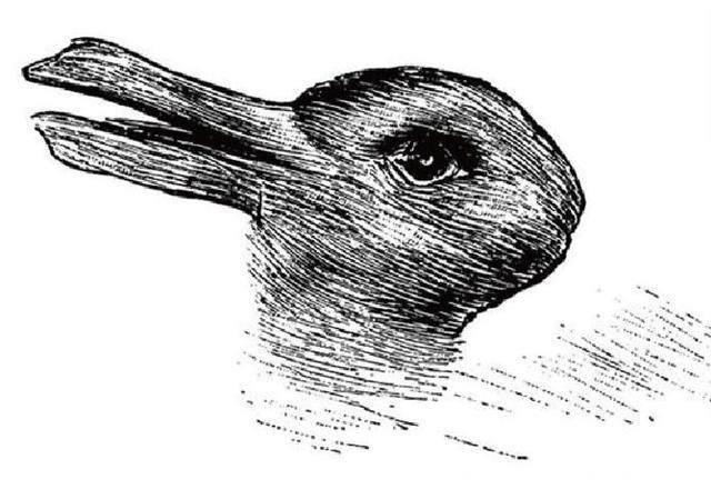 心理测试：看图，是兔子还是鸭子，测测你的性格与爱情