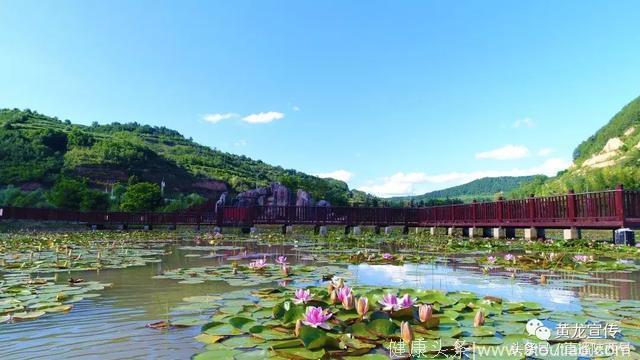陕西最美养生天堂，被誉为黄土高原上的“香格里拉”值得一去！