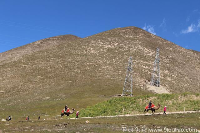 大美青海养生食材探寻之旅——日月山