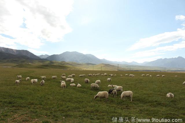 大美青海养生食材探寻之旅——日月山