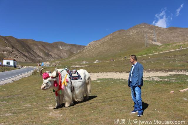 大美青海养生食材探寻之旅——日月山