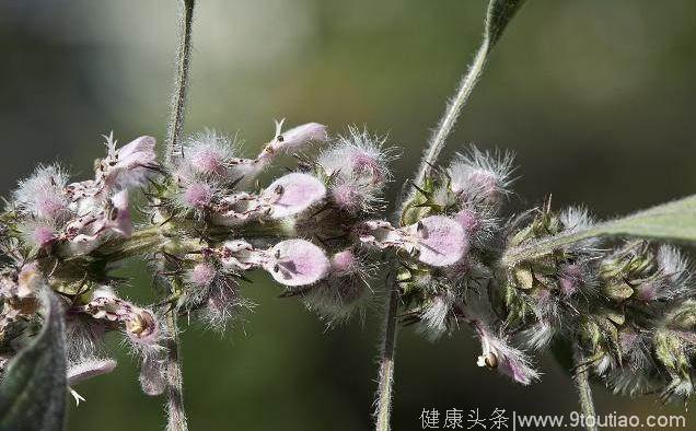 女人来大姨妈，饭前记住4句话，排出子宫寒气，还能预防妇科炎症