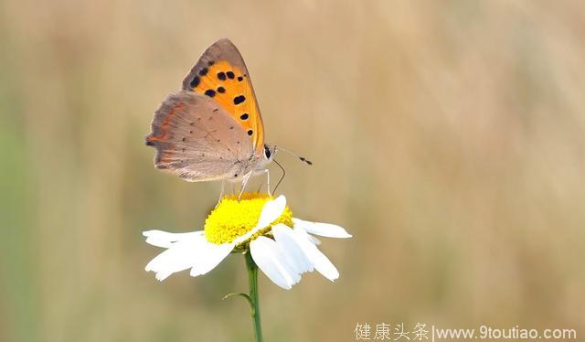 思维模式不重建，就无法走出抑郁症