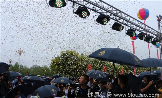 水墨龙乡 文旅盛宴——西峡仲景养生小镇开街迎宾