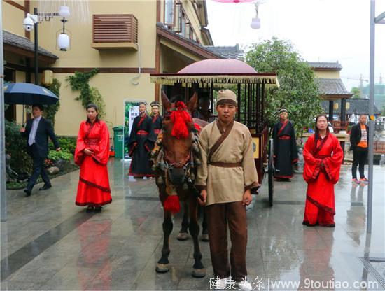 水墨龙乡 文旅盛宴——西峡仲景养生小镇开街迎宾