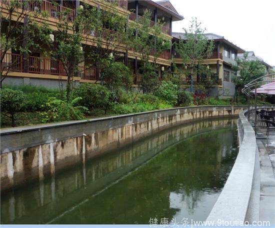 水墨龙乡 文旅盛宴——西峡仲景养生小镇开街迎宾