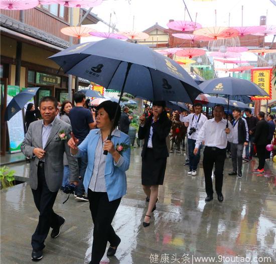 水墨龙乡 文旅盛宴——西峡仲景养生小镇开街迎宾