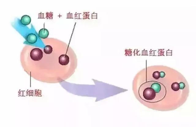 糖尿病降糖标准变了！