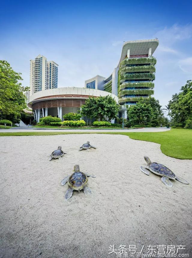 到碧桂园森林城市休闲养生度假区，滋养身心驱走疲惫