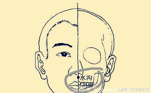 养生系列之穴位篇24：素髎、水沟、兑端、龈交之说