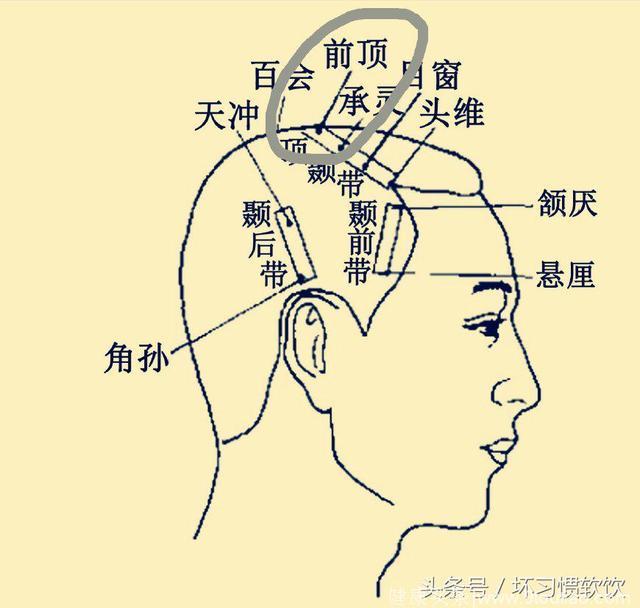 养生系列之穴位篇25：前顶、囟会、上星、神庭之说