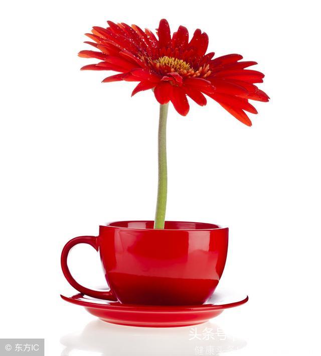 心理学：你最喜欢哪个茶杯花束，测试你的一生注定失败还是成功