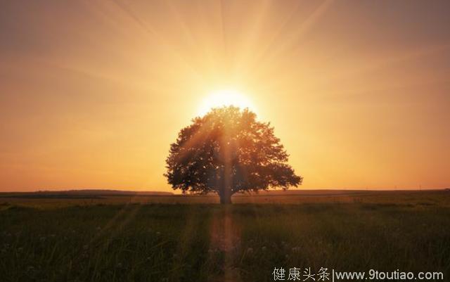 心理测试：你最喜欢哪种日出场景，测你下周运势如何