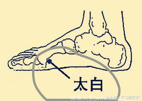 养生系列之穴位篇28：隐白、大都、太白、公孙之说