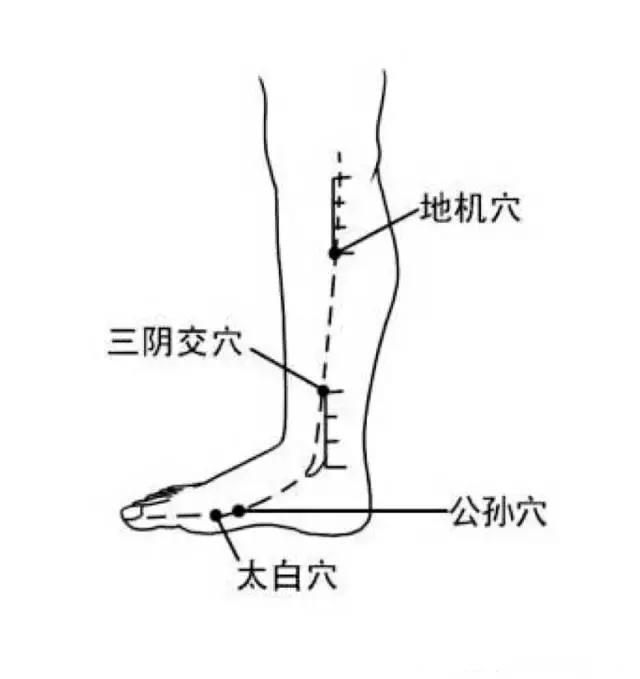 生活节奏快脾胃不好？艾灸这几个穴位有奇效！