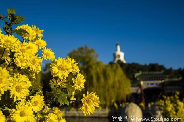 今日寒露｜多“甘”少“辣”防秋燥 寒露养生处方在这里