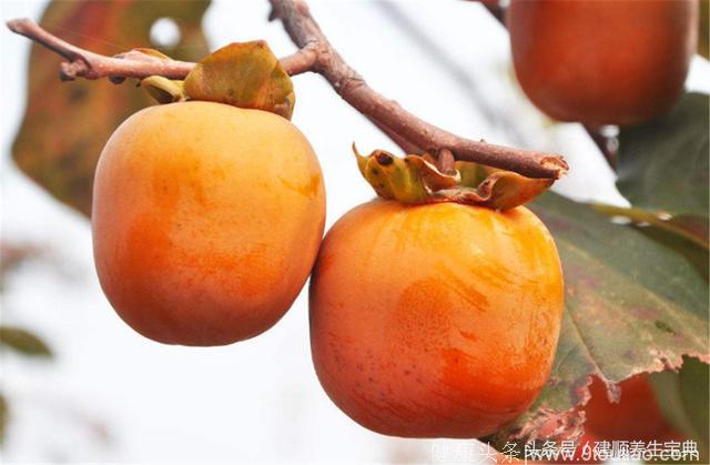 秋季是感冒高发期，多吃这3种水果，润肺又化痰，喉咙更舒服