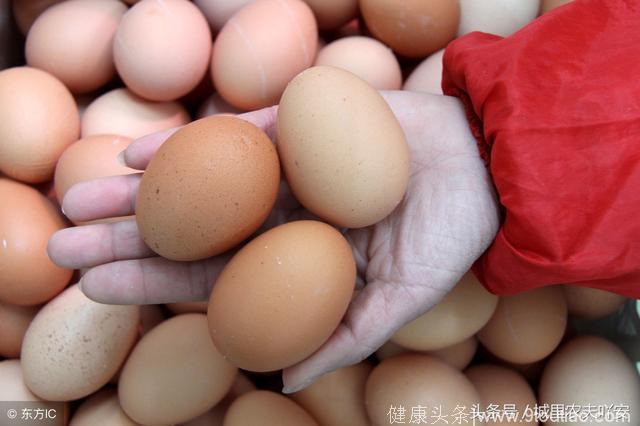 在鸡食疗中加多少青料之王松针叶粉？它对鸡有什么有益作用？