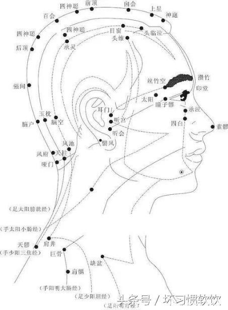 脱发往往是脾肾两虚，藏在头发里的“健康密码”，你了解多少？