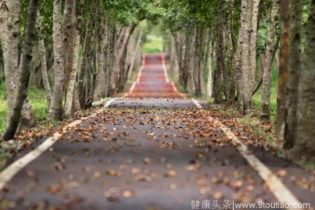 养生旅游需要构建一个体系