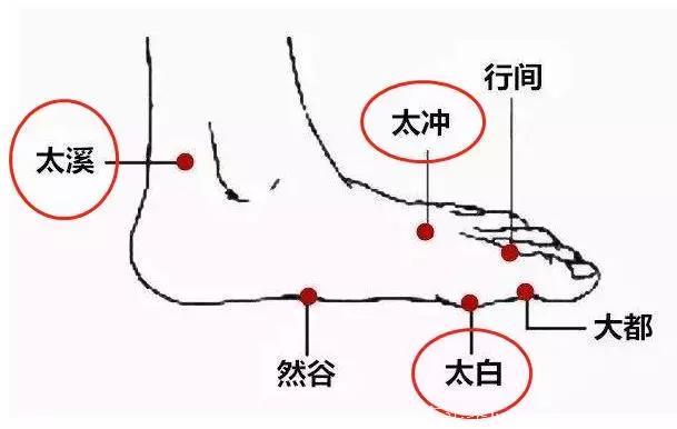 重阳话养生！快记住这句口诀：一高、二花、三个老太太！