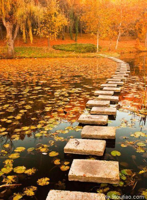 心理测试：哪幅秋季风景图最让你心旷神怡？测你适合怎样的爱情？