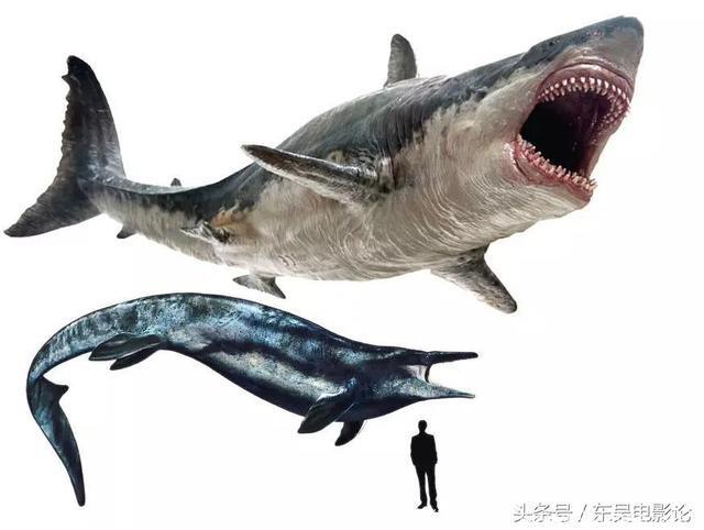 《巨齿鲨》灭绝了百万年的史前巨兽，怎么突然出现在深海！