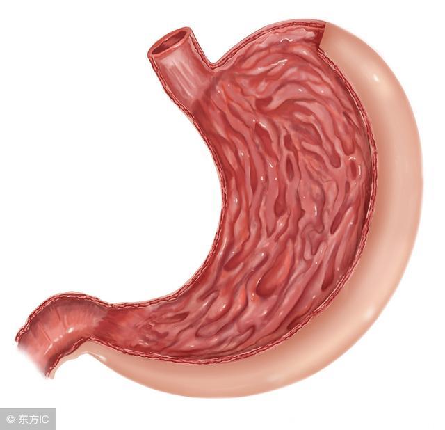 胃炎反复“难愈”？多吃2种食物 有助抑菌消炎 调理胃部健康