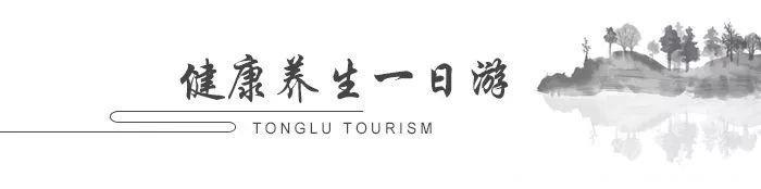 官宣！游养生圣地、品养生宴、住养生村，桐庐养生之旅新鲜出炉~