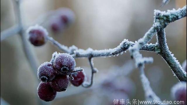 霜降过后，养生牢记这几点，身体平安健康过冬天！