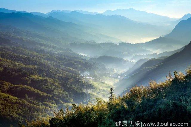 贵州 16 地获全国森林康养试点基地称号！这些养生福地你去过吗？