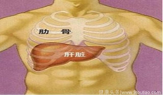 2块钱一个的它，才是养肝最佳水果，简单方便，每天泡水远离肝病