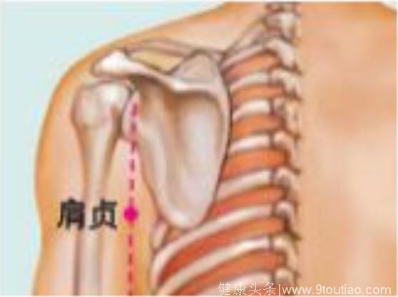 「每天学点养生」每天按摩这4个穴位，从此告别肩周炎