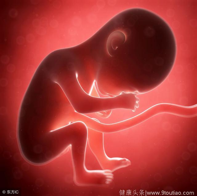 胎儿总喜欢在肚子右侧活动，不仅仅是孕妇的事，胎儿也有小脾气