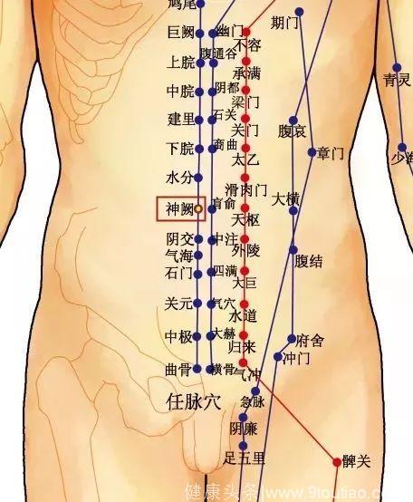 气血不足百病生！打通这10个穴位，补气活血，免疫力自然提高！