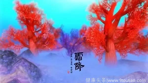 二十四节气｜霜降养生，全知道（建议收藏）