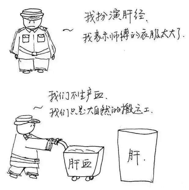 子午流注十二时辰养生漫画图解