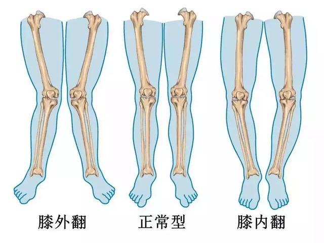 10个图解动作，4大养护方法，打开膝盖隐藏修复开关，赶走关节炎！