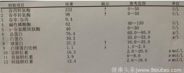 肝病医生带你看肝功能化验单