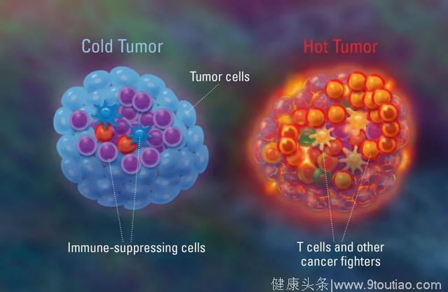《自然医学》重磅：被忽视的免疫治疗真相！有些肿瘤内90%以上的杀伤性T细胞根本就不能识别癌细胞｜科学大发现