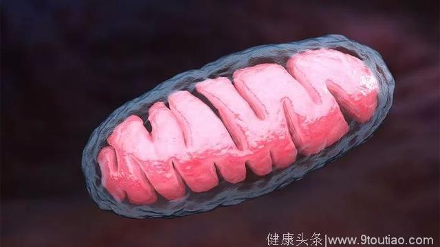 《自然医学》重磅：被忽视的免疫治疗真相！有些肿瘤内90%以上的杀伤性T细胞根本就不能识别癌细胞｜科学大发现