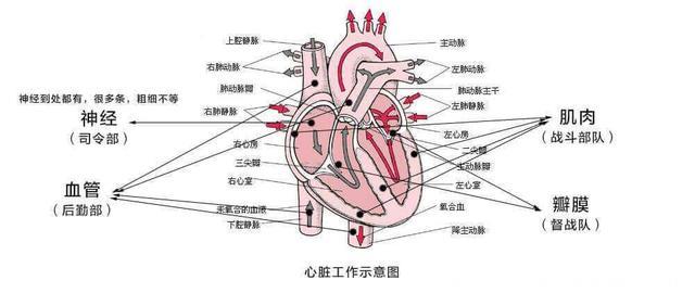 我的心慌竟然是因为颈椎？