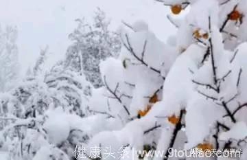 心理测试:你觉得哪一个雪景最冷？测一下今生谁会对你知冷知热！