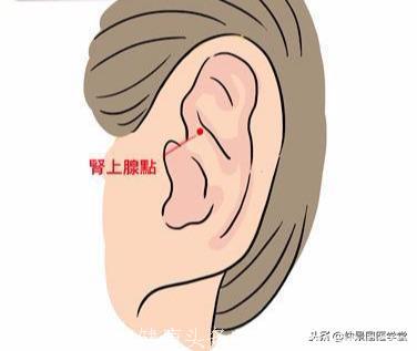 中医穴位祛痘：按摩耳朵3穴道，调整荷尔蒙、排毒消痘又润肤