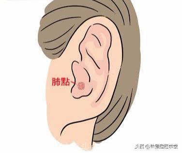 中医穴位祛痘：按摩耳朵3穴道，调整荷尔蒙、排毒消痘又润肤