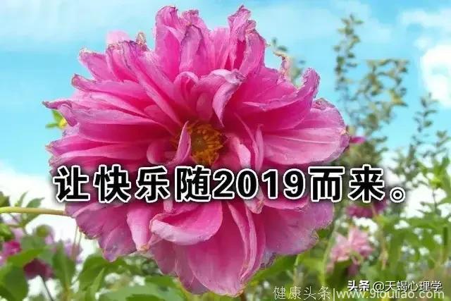 心理测试：你喜欢哪朵牡丹花？测试你有没有富贵命？